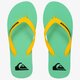 Vyriškos šlepetės QUIKSILVER MOLOKAI  aqyl100601xkgw spalva žalia