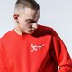 Vyriškas džemperis REEBOK DŽEMPERIS TJ CREW 3 gk9157 spalva raudona