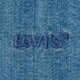 Vyriški marškiniai LEVI'S MARŠKINIAI AUTHENTIC BUTTON DOWN MED INDIGO - FLAT FI a7210-0025 spalva mėlyna