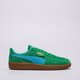 Vyriški kedai PUMA PALERMO VINTAGE UPDATE 40136401 spalva žalia