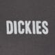 Vyriški marškinėliai DICKIES MARŠKINĖLIAI WOLFHURST SS TEE dk0a88qoch01 spalva pilka
