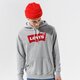 Vyriškas džemperis LEVI'S DŽEMPERIS SU GOBTUVU T2 STD GRAPHIC HOODIE 384240000 spalva pilka
