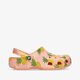 Moteriškos šlepetės CROCS CLASSIC RETRO RESORT CLOG 207849-83f spalva daugiaspalvė