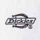 Moteriški marškinėliai DICKIES MARŠKINĖLIAI SUMMERDALE SS TEE dk0a4y1bwhx1 spalva balta