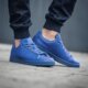 ADIDAS STAN SMITH ADICOLOR s80246 spalva mėlyna