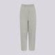 Moteriškos kelnės JORDAN KELNĖS W J BRK FLC WL PANT BB im7301-063 spalva pilka