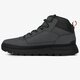 Vyriški auliniai batai TIMBERLAND FIELD TREKKER MID tb0a28yz0331 spalva pilka