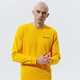 Vyriškas džemperis CHAMPION DŽEMPERIS CREWNECK SWEATSHIRT 214151ys058 spalva geltona