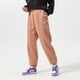 Moteriškos kelnės NIKE KELNĖS W NSW ESSNTL CLCTN FLC PANT dq5098-609 spalva rusvai gelsva