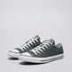 Vyriški inkariukai CONVERSE CHUCK TAYLOR ALL STAR  a10537c spalva žalia