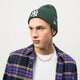 Vyriška kepurė NEW ERA KEPURĖ LE BEANIE NYY GRN 60292605 spalva žalia