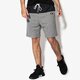 Vyriški šortai NIKE ŠORTAI M NSW MODERN SHORT FT 886247-091 spalva pilka