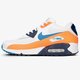 Vyriški kedai NIKE AIR MAX 90 ESSENTIAL  aj1285-104 spalva balta