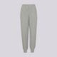 Moteriškos kelnės NIKE KELNĖS W NK STDO OS JOGGER FLC HVY io2109-063 spalva pilka