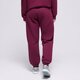 Moteriškos kelnės KELNĖS W JORDAN BRKLN FLC PANT 24  fv7077-610 spalva tamsiai raudona