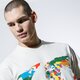 Vyriški marškinėliai VANS MARŠKINĖLIAI MN SAVE OUR PLANET S NATURAL vn0a49kl7vj1 spalva daugiaspalvė
