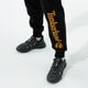 Vyriškos kelnės TIMBERLAND KELNĖS YC CORE TREE LOGO SWEATPANT tb0a2bvfp561 spalva juoda