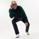 Vyriškas džemperis LEVI'S FLISAS FLISAS FLEECE MOCK NECK a3301-0001 spalva žalia