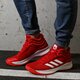 Vyriški žieminiai batai ADIDAS PRO SPARK 2018 b44964 spalva tamsiai raudona