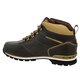 Vyriški auliniai batai TIMBERLAND EURO HIKER FTB 6667a spalva ruda