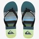 Vyriškos šlepetės QUIKSILVER MOLOKAI EVERYDA aqyl100234xkgs spalva žalia