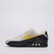 Vyriški kedai NIKE AIR MAX 90  if0670-001 spalva pilka