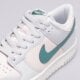 Vaikiški kedai NIKE DUNK LOW fd1232-002 spalva pilka