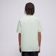 Vyriški marškinėliai DICKIES MARŠKINĖLIAI SS MAPLETON TEE dk0a4xdbk361 spalva žalia