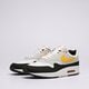 Vyriški kedai NIKE AIR MAX 1 fd9082-104 spalva geltona