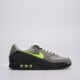 Vyriški kedai NIKE AIR MAX 90  iq0289-010 spalva pilka