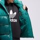 Vyriška žieminė striukė ADIDAS STRIUKĖ  ŽIEMINĖ DOWN REGEN ADIC il2566 spalva žalia