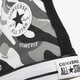 Vyriški inkariukai CONVERSE CHUCK TAYLOR ALL STAR  171453c spalva pilka