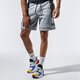 Vyriški šortai NIKE ŠORTAI AIR cj4832-071 spalva pilka