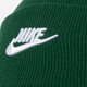 Vaikiška kepurė NIKE KEPURĖ  ŽIEMINĖ U NSW BEANIE UTILITY FUTURA dj6224-341 spalva žalia