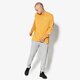Vyriški marškinėliai NEW ERA MARŠKINĖLIAI LS NE ESTABLISHED   LS TEE NE BSQ NONE 11604078 spalva geltona