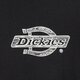 Vyriški marškinėliai DICKIES MARŠKINĖLIAI WOOD LOGO TEE dk0a4zatblk1 spalva juoda