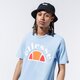 Vyriški marškinėliai ELLESSE MARŠKINĖLIAI TEDI she09993lightblue spalva mėlyna