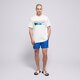 Vyriški šortai NIKE SWIM ŠORTAI ESSENTIAL 5" nessa560-494 spalva mėlyna