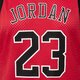 Moteriška SUKNELĖ W JORDAN HERITAGE TRENINGASS CORE  do5029-687 spalva tamsiai raudona