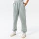 Moteriškos kelnės REEBOK KELNĖS CL RBK ND FLEECE PANT hh9719 spalva pilka