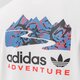 Vyriški marškinėliai ADIDAS MARŠKINĖLIAI FLMOUNT TEE h13913 spalva balta