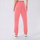 Moteriškos kelnės CHAMPION KELNĖS RIB CUFF PANTS 115404ps171 spalva rožinė