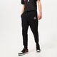 Vyriškos kelnės JORDAN KELNĖS M J FLT MVP HBR FLC PANT 2 dv7596-010 spalva juoda