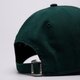 Vyriška kepurė su snapeliu NEW ERA KEPURĖ MINI LOGO 920 TIGERS DETROIT TIGERS 60691335 spalva žalia