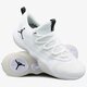Vyriški kedai JORDAN SUPER.FLY 2017 LOW aa2547110 spalva balta