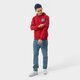 Vyriškas džemperis ALPHA INDUSTRIES DŽEMPERIS SU GOBTUVU APOLLO MISSION HOODY 106338328 spalva violetinė