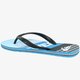 Vyriškos šlepetės QUIKSILVER MOLOKAI INCLINED aqyl100216xkbb spalva mėlyna