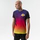 Vyriški marškinėliai NEW ERA MARŠKINĖLIAI SS NBA COASTAL HEAT   TEE LA LAKERS LOS 11569521 spalva daugiaspalvė