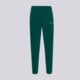 Vyriškos kelnės CHAMPION KELNĖS ELASTIC CUFF PANTS 221800gs584 spalva žalia