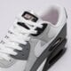 Vyriški kedai NIKE AIR MAX 90 PF iu7542-012 spalva pilka
